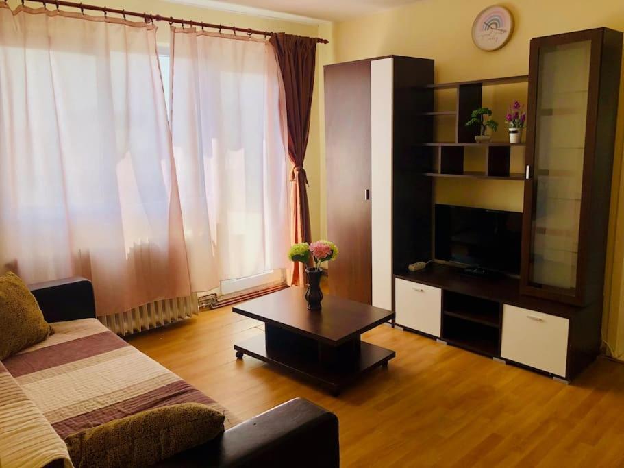 Joy City Stay Lucaciu 16 Тимишоара Экстерьер фото